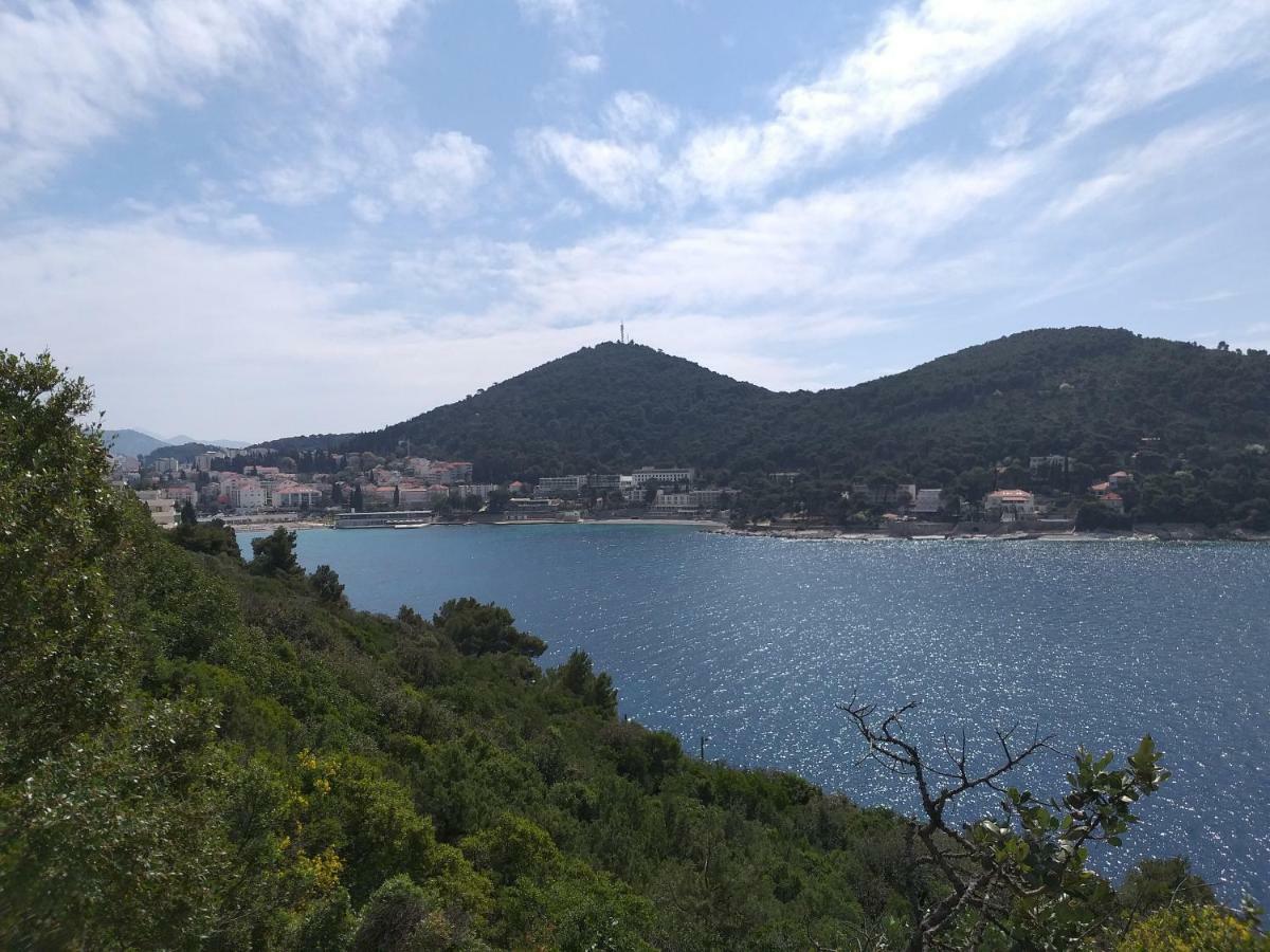 Sendi 5 Min From The Apartment *